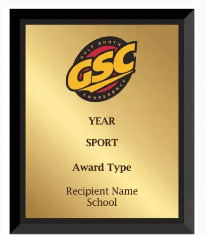 Player/Freshman/Coach of the Year - GSC-9