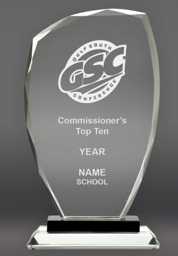 [BLD01059] Top 10 / GSC12